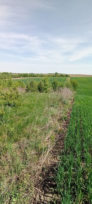 $ Продаж ділянки біля Білої Криниці