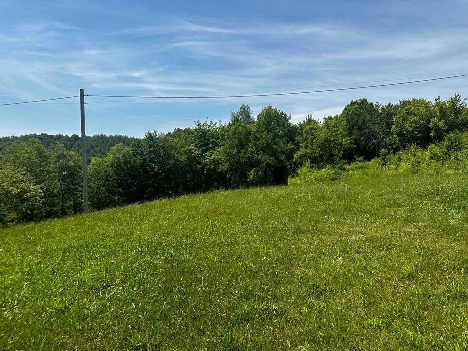 Продається старий будинок з великою земельною ділянкою