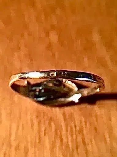 2 ANÉIS de PRATA - diâmetro interno 20 mm - contraste Águia 835