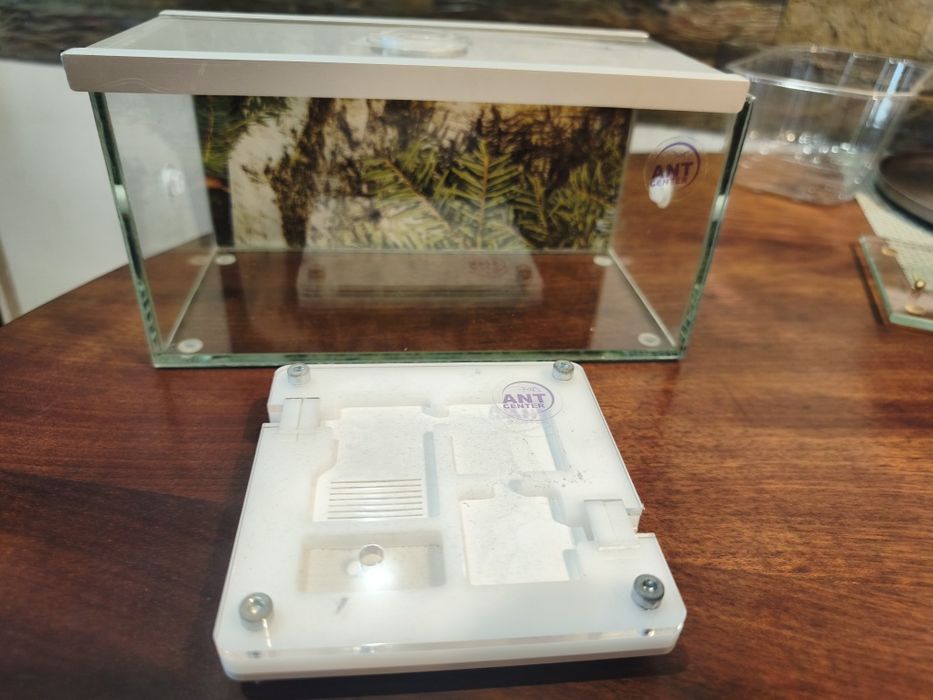 Formikarium_gniazdo dla mrówek _AntCenter