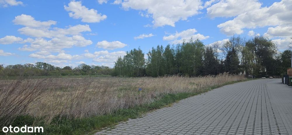 Wrocław, Psie Pole, Kowale - Widok 6