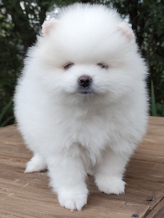 Гарненькі Дівчатка,та Хлопчики!