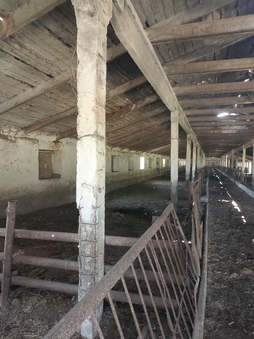 С/Х ферма(Свиноферма)