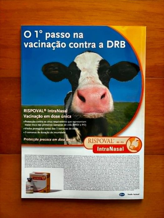 Revista Veterinary Medicine - Julho/Agosto 2009