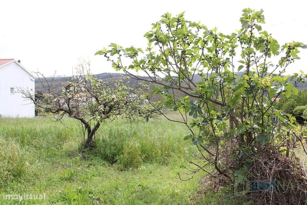 Lote de Terreno