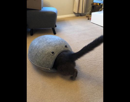 cama de gato Igloo, gatos de estimação, cão pequeno, lavavel , cinza