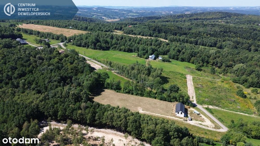 Działka pod lasem z warunkami zabudowy - Widok 3