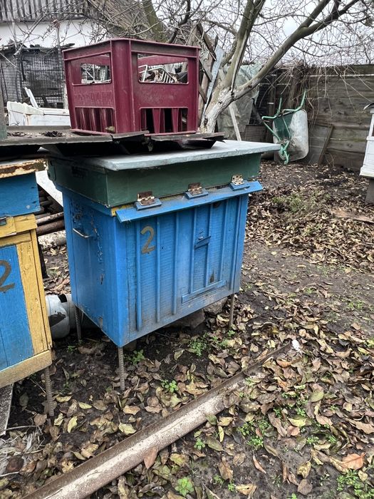 вулики без бджіл