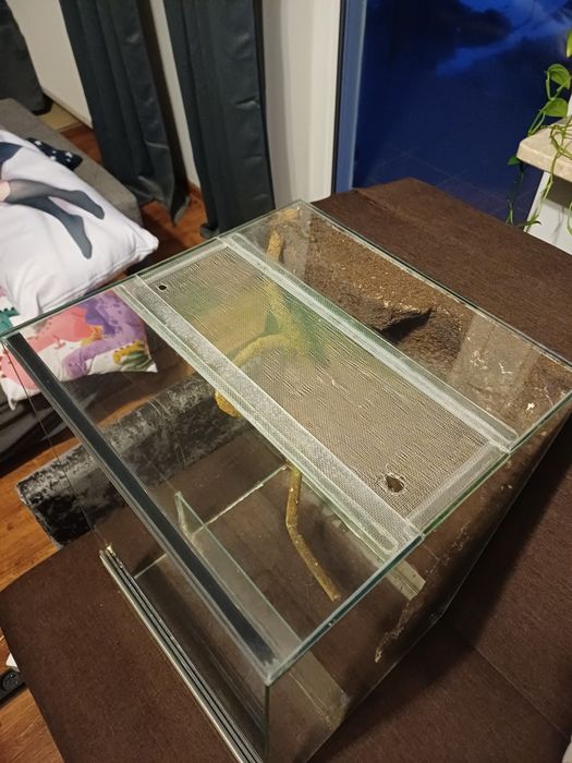 Terrarium 45x45x60