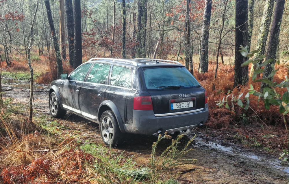 Audi A6 Allroad 2.5 TDI V6 Quattro (180cv)