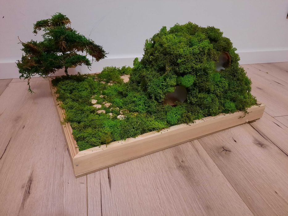 Domek, praca plastyczna