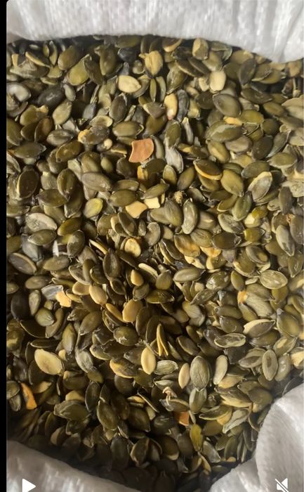 Голонасінне насіння гарбуза 2025 року