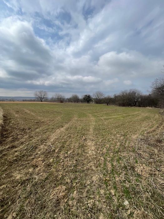 Продам будинок в селі 25 км від Вінниці від власника