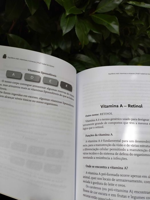 Equilíbrio vital: vitaminas e minerais (Prof. Isabel do Carmo)