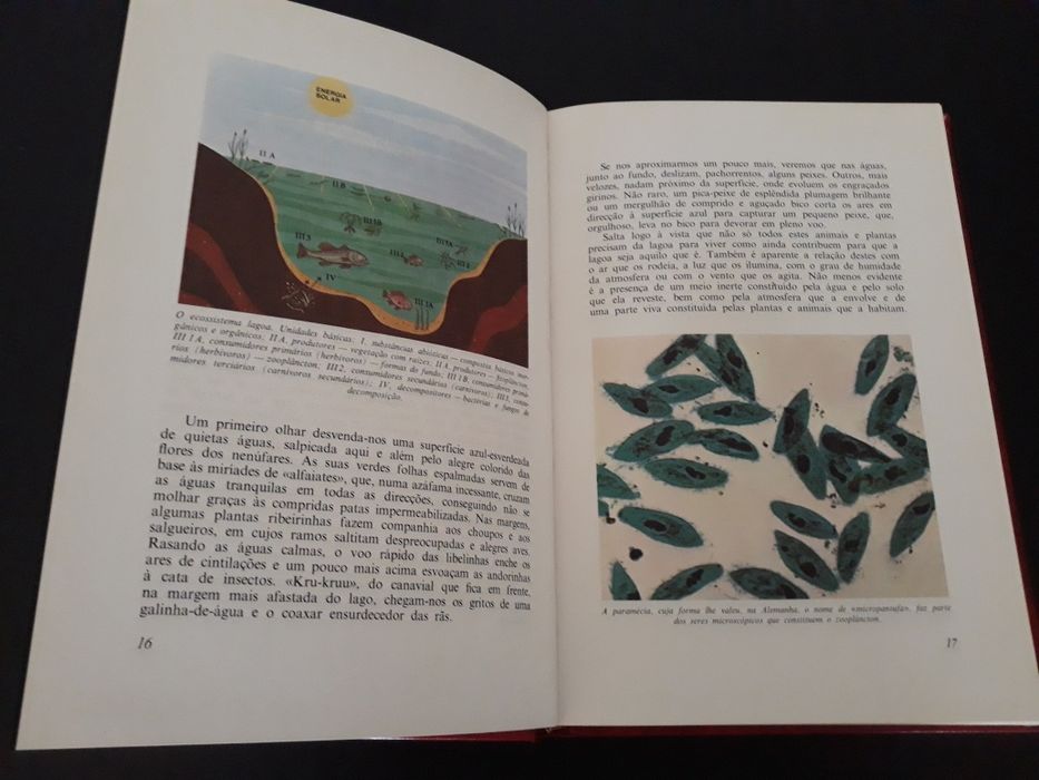 Livros "Este Planeta em que vivemos" todos 15 euros