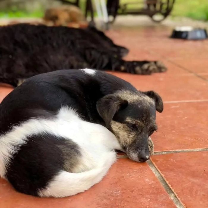 Wanda czeka na Ciebie