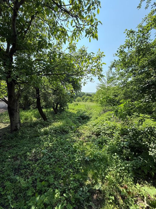 Продаж земельної ділянки в центрі с. Глибочок