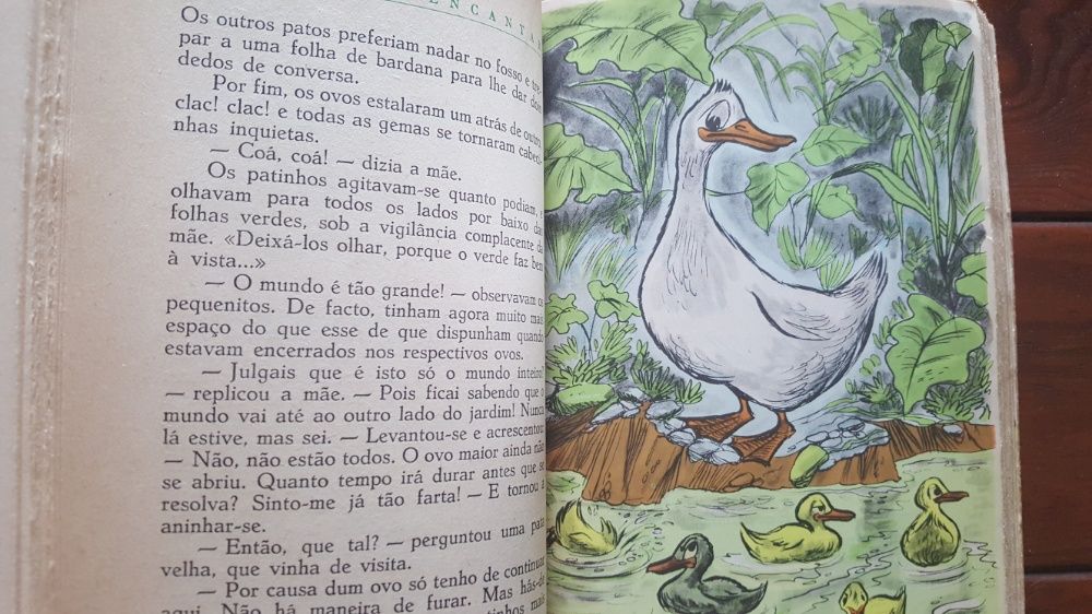 Hans Christian Andersen - Contos de encantar