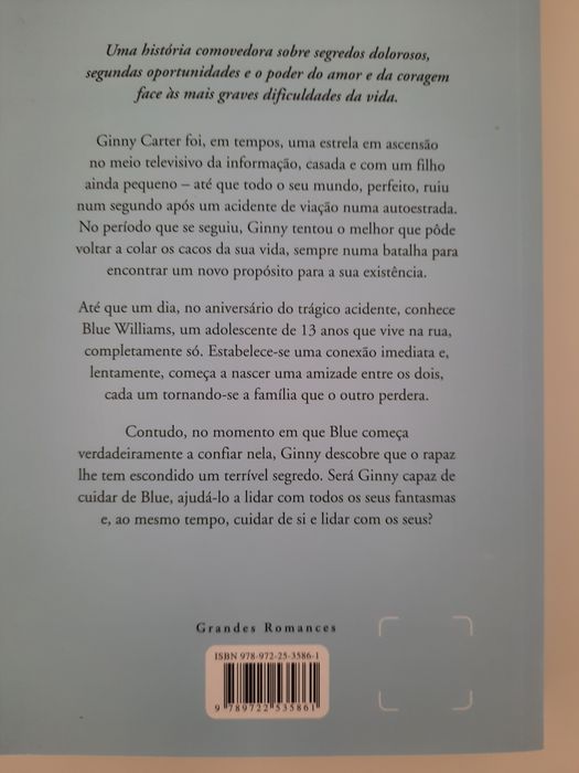 Livro novo Danielle Steel