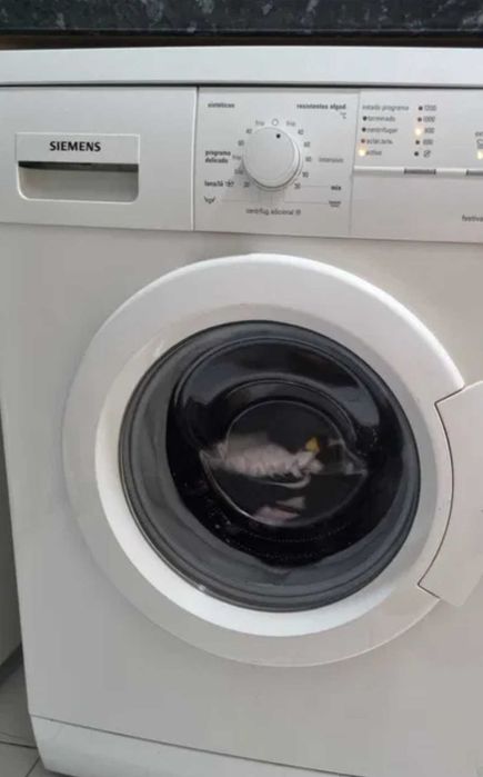 Máquina de lavar rouia