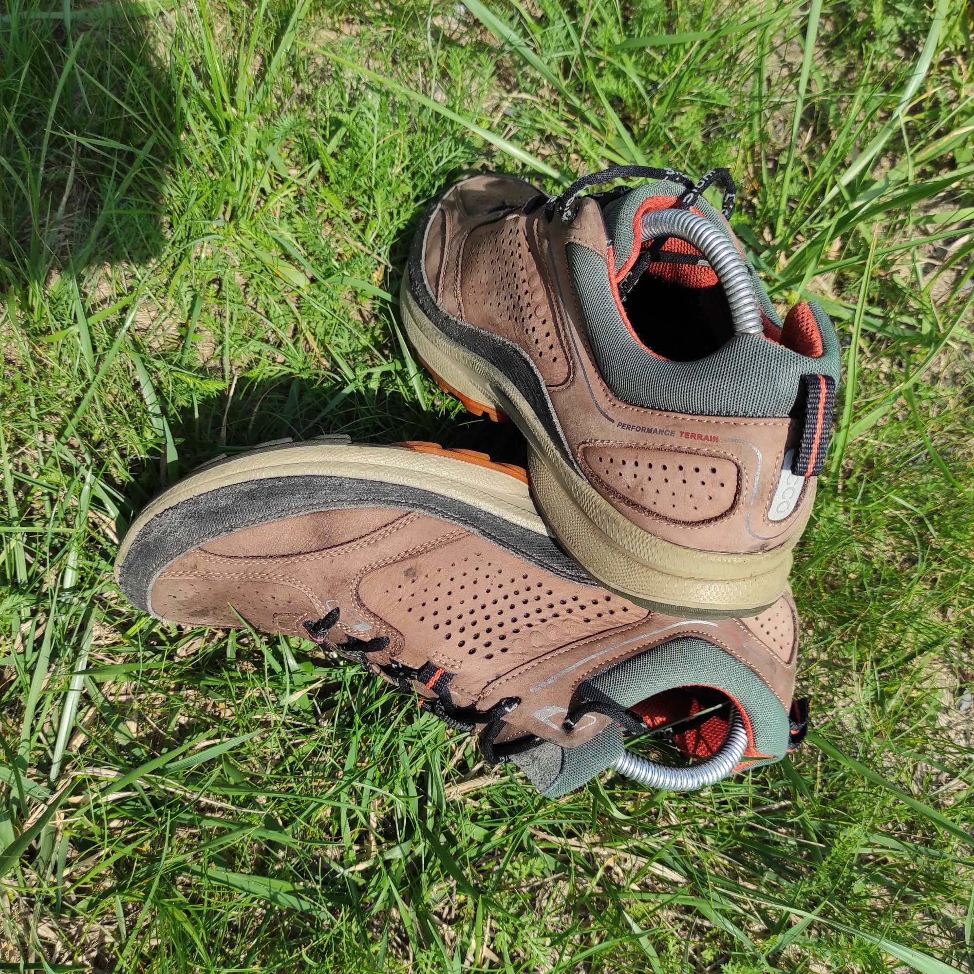 Ecco biom terrain online