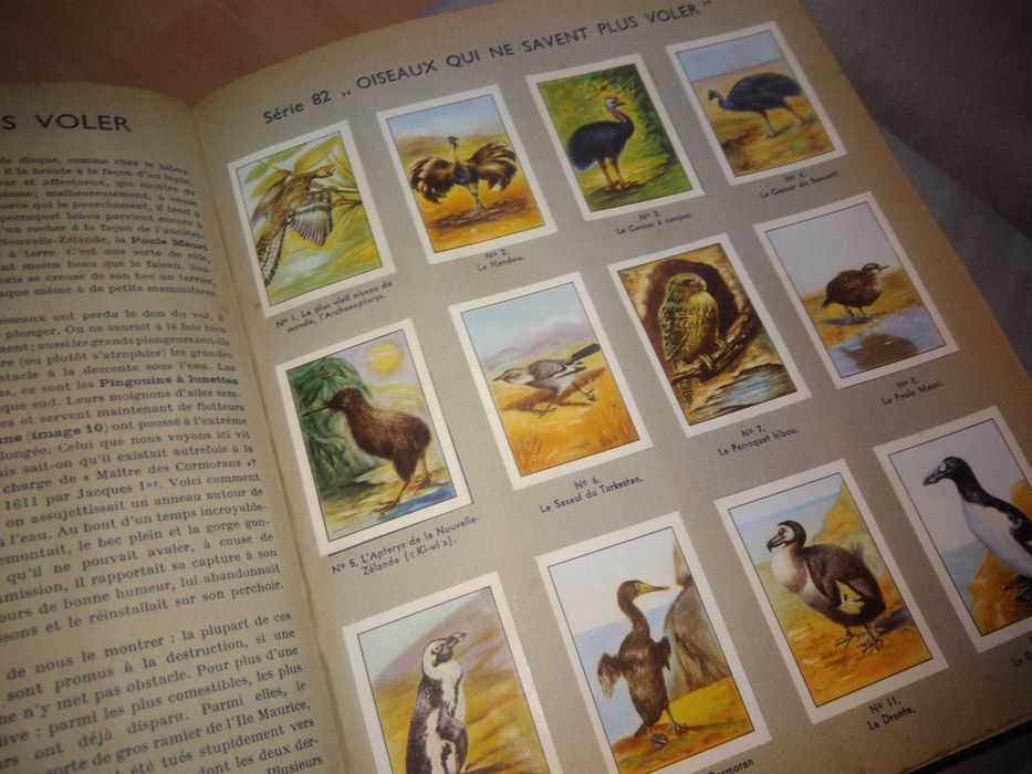 NESTLÈ - Les merveilles du monde - Livro de cromos