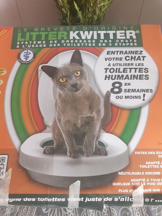 Equipamentos de aprendizagem para gatos