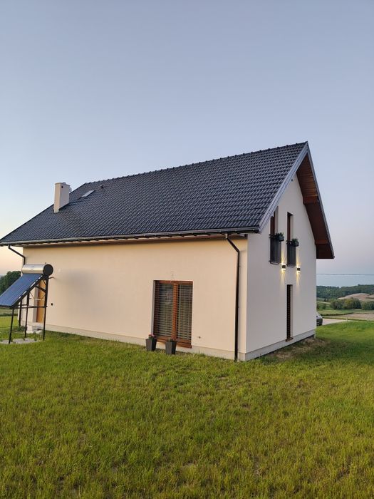 Elewacje i Docieplenia budyknów. (Możliwość samej struktury)