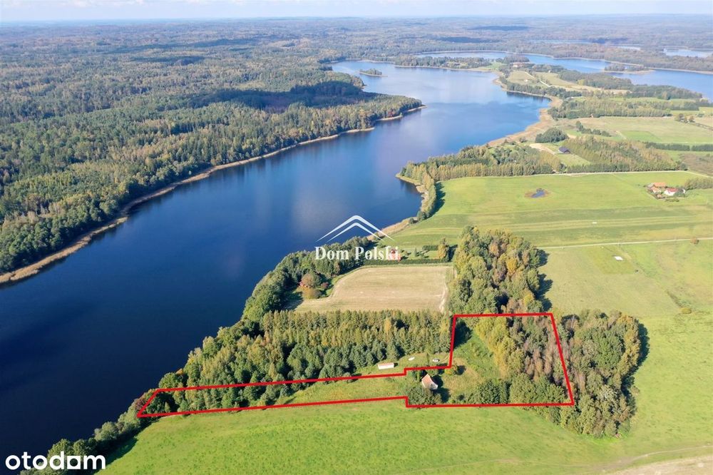 Dom – Borki - Widok 2