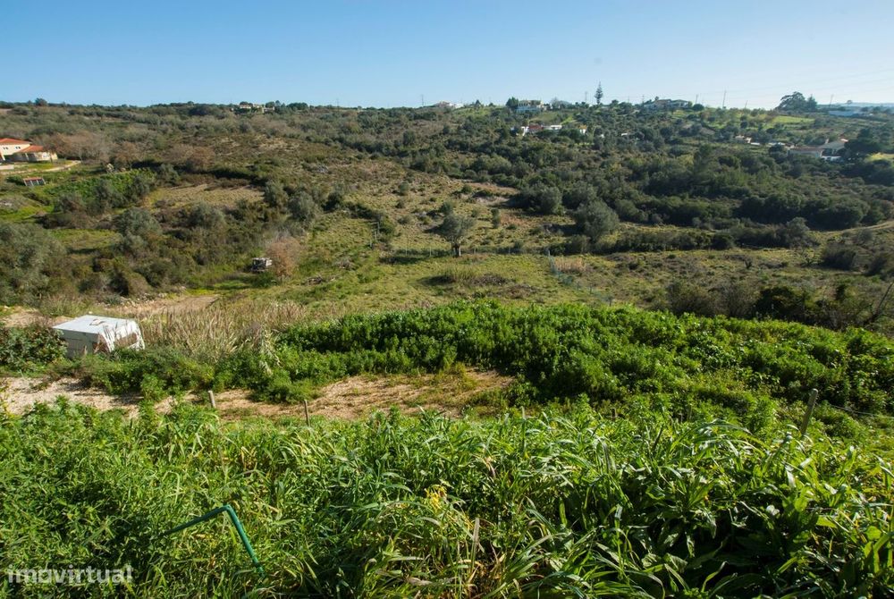 Terrenos para venda na Bemposta em Bucelas