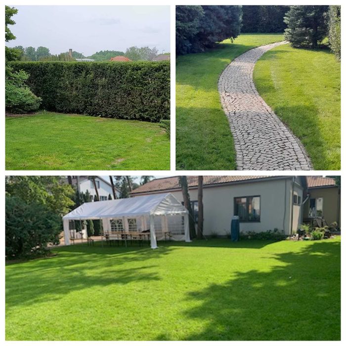 Ogrodnik, firma ogrodnicza,pielęgnacja ogrodu, pielęgnacja trawnika