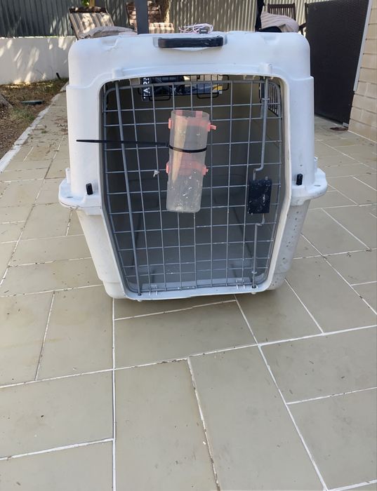Transportadora para Animais Grande Porte Padrão IATA para Avião