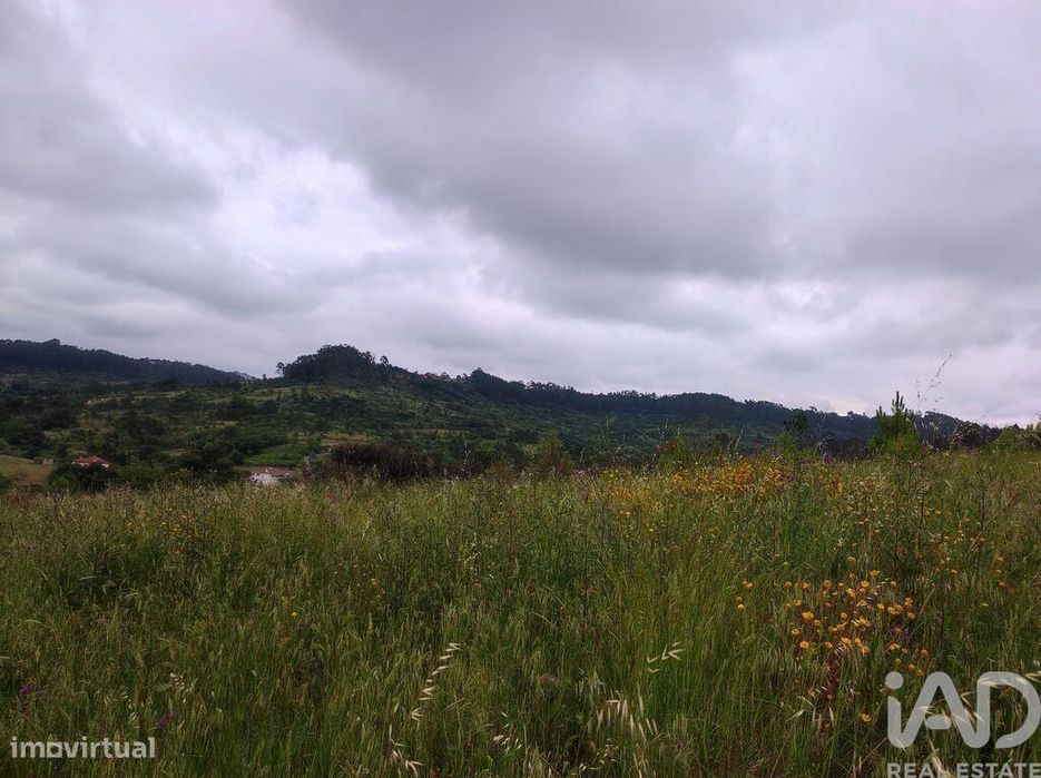 Terreno para construção em Colmeias e Memória de 116,00 m2