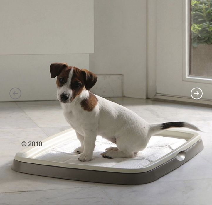 Tabuleiro para resguardo cães