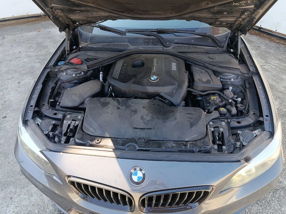 Motor completo BMW 2 Coupé (F22, F87)