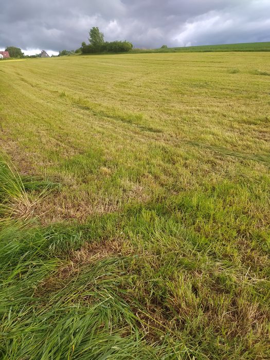 Działka budowlana nad morzem - Widok 2