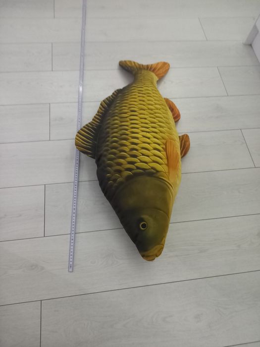 Pluszak ryba karp