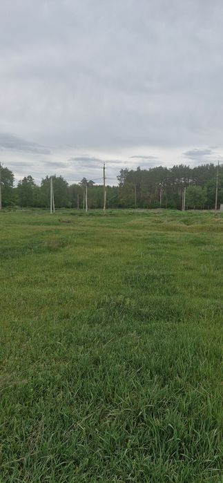 Продам земельну ділянку в Бучанському районі, с.Вороньківка (с. Синяк)