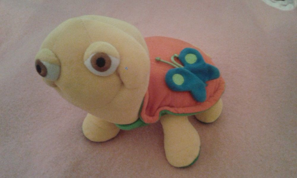 Brinquedo Tartaruga Educativa Primeiras Palavras