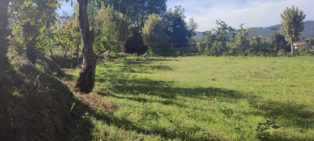 Vendo terreno com 1.074 m² em Souto, Terras de Bouro