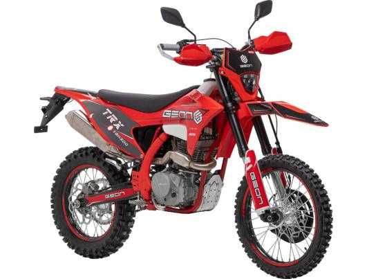 GEON TRX 300 YGH PRO, 2025  р. в.