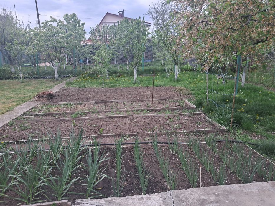 Продам дачу с.Новоивановка