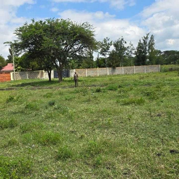 Земельні ділянки для житлового будівництва та ОСГ в центрі Опішні