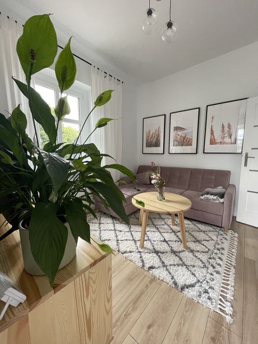 BEZCZYNSZOWE mieszkanie w kamienicy | 39,18 m² | 3-metrowe sufity | Wysoki standard