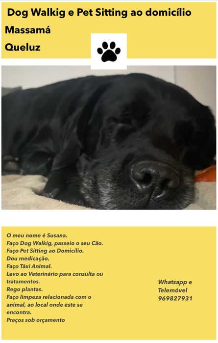 Pet Sitting e Dog Walking