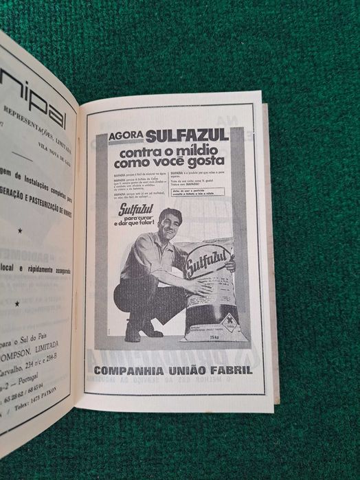 O Vinho - Octávio Pato