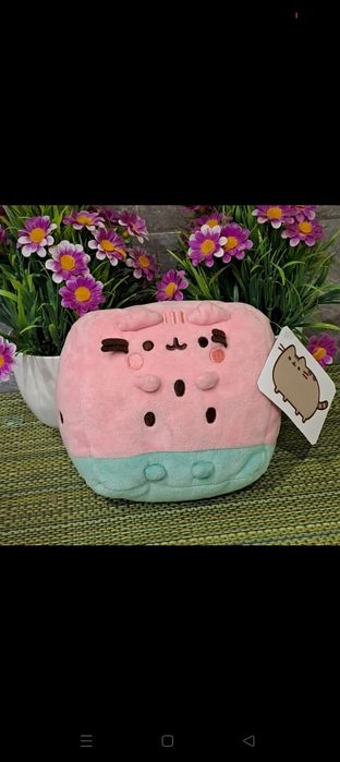 Pusheen arbuz Hit! Nowość