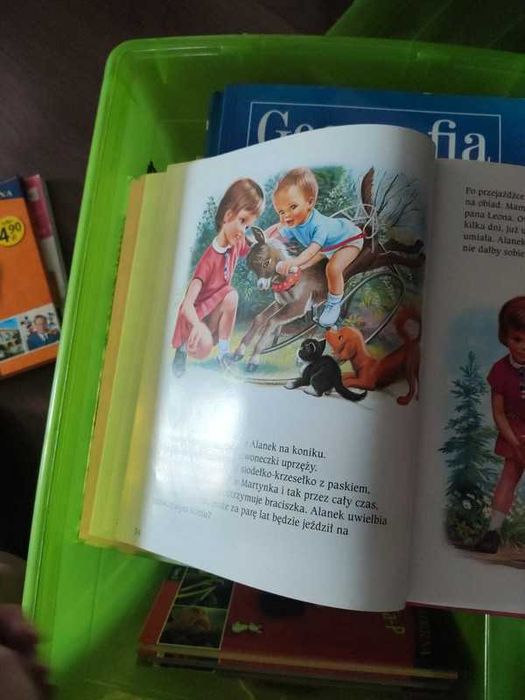 Książka: Martynka w domu