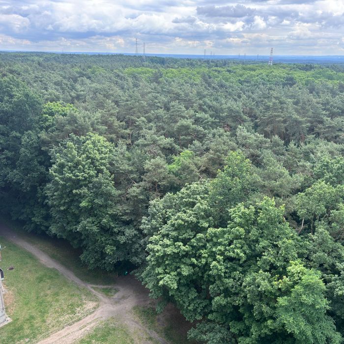 Mieszkanie 3 pokojowe - Widok 6
