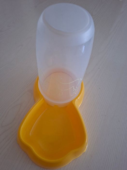 Conjunto acessorios para Gatos